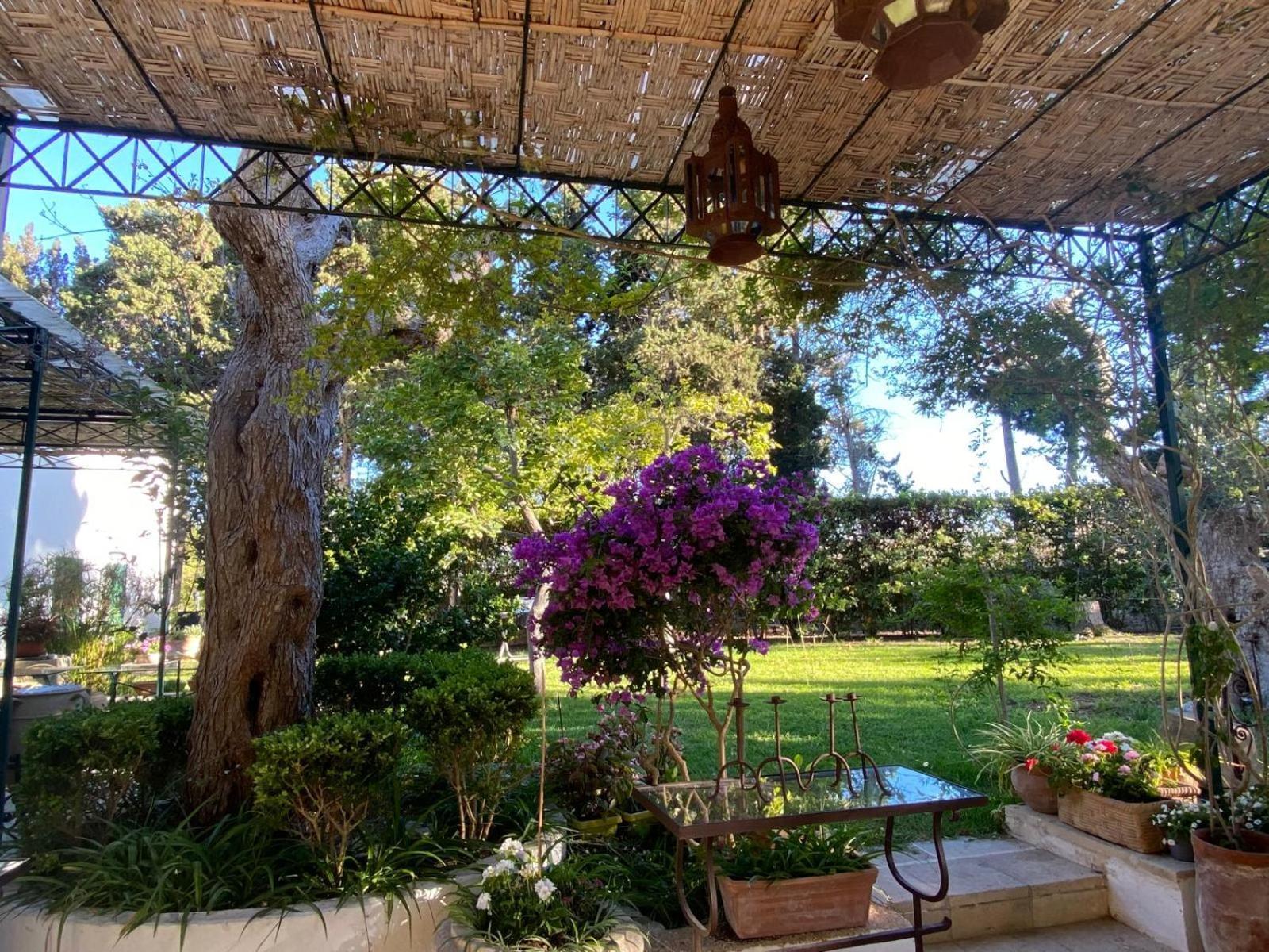 Tenuta Belvedere Otranto Exterior foto